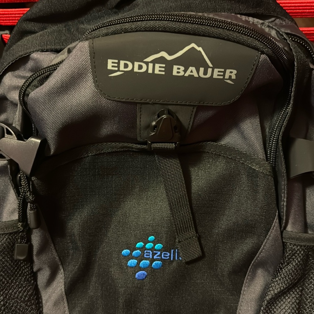 Brand New with tag Eddie Bauer backpack /bookbag black and charcoal grey